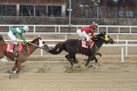 '별 중의 별‘ 파워블레이드, 황제판도 뒤바꾼 세가지 비결