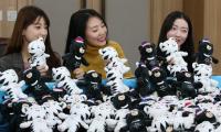 대전동구, 식장산 해맞이 행사에서도 평창 동계올림픽 홍보 