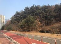 충남도, 천안 봉서산 자락에 임대아파트 추진 논란