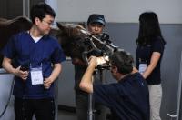 [한국마사회 부산경남] ‘10개국 수의학도 한 자리에’...수의학 교류 현장실습 진행 外