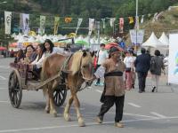 옥천 제31회 지용제 5월 10일부터 열기로