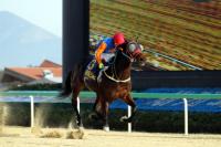 렛츠런파크 부산경남의 올해 첫 대상경주 ‘제13회 경남신문배’ 4일 열려