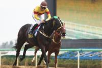 렛츠런파크 부산경남 경남신문배 우승은 김영관 조교사의 ‘디바이드윈드’