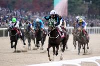 한국마사회 렛츠런 승마힐링센터, 2018년도 1학기 재활승마 자원봉사자 모집