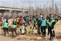 [부산시 브리핑] 2018년 시민나무심기 행사 개최 外