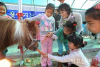 렛츠런파크 부산경남, 2018년 찾아가는 승마교실 ‘스타트’