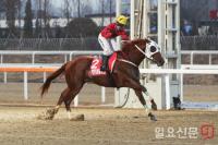 렛츠런파크 부산경남, ‘3세마 전쟁’ 스타트...“KRA컵 마일 잡아라”