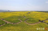 [부산시 브리핑] 제7회 부산낙동강 유채꽃축제 개최 外