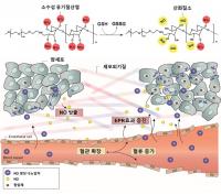 박재형 교수, 약물전달 효능 높인 나노입자를 개발
