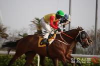 렛츠런파크 부산경남, JRA 고쿠라경마장과 한일 경마교류대회 개최