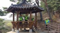 영동군, 지역노인 문화재시설봉사 '인기'