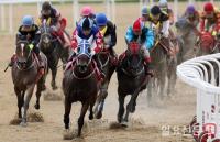 렛츠런파크 부산경남, 5월 경마시행계획 발표