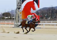 렛츠런파크 부경, ‘단거리 최강자는 누구’ 서울-부산 자존심 대결