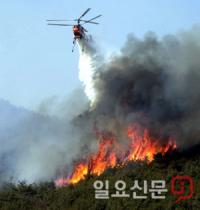 남부산림청, '봄철 산불조심기간' 연장 운영