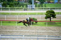 렛츠런파크 부산경남, 신규 조교사 2명 신규 선출