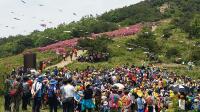[김해시 브리핑]  김해 신어산서 철쭉축제 펼쳐져 外