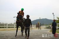 렛츠런파크 부산경남, 말관리사 추모 기념경주 개최