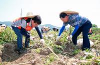 경남농협, 농심으로 영농지원에 구슬땀