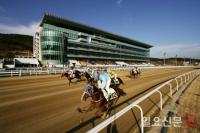 한국마사회 렛츠런파크 부산경남...6월 경마시행계획 발표