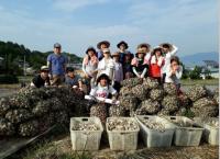 경성대, 3박4일간 남해군 일원에서 농촌봉사활동 