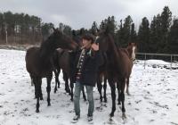 렛츠런파크 부산경남, 두마리 토끼잡는 '말(馬)전문 고졸인재'