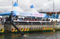 100만 마리 어린물고기 기장바다 누벼