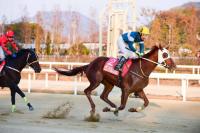 렛츠런파크 부산경남 "제14회 부산광역시장배서 트리플나인과 아임유어파더 격돌"