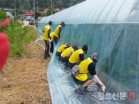 인천도시공사, 농촌 일손돕기 봉사활동 강화 불은마을서 펼쳐