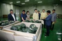 경남농협, 제7호 태풍 쁘라삐룬 피해대비 현장점검