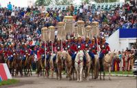 [부산시 브리핑] 몽골 나담 축제 부산에서 즐긴다 外