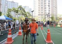 렛츠런파크 ‘말타는 아파트 놀이터’ 사업 추진