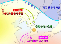“이러다 타죽겠다.” 폭염 얼마나 더 가나.