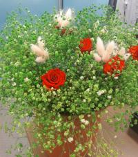 aT 부산울산지역본부, 화훼 활성화에 앞장