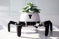 [아이디어세상] 빛에 따라 이리저리…‘식물 키우는 로봇’