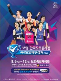 보령시, 8월 5일부터 12일까지 보령․한국도로공사컵 여자프로배구대회 개최