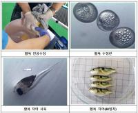 [부산시 브리핑] 오거돈 시장, 연이은 폭염에 취약 시설 및 건설현장 점검 나서 外