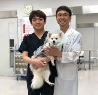 경상대 정동인 교수팀，‘국내 동물용 캡슐내시경’ 환자 적용 첫 성공