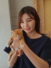 세종시, 입양 유기동물 진료비 50% 지원