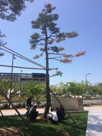 경상대, 산림청 주관 ‘나무의사 및 수목치료기술자 양성기관’에 선정