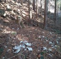 김해시, 상동 백자 가마터 긴급발굴조사 착수