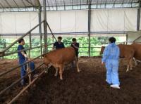 의왕시, 하반기 가축전염병 예방접종 지원
