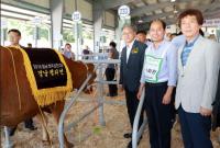 경남농협 2018년 경남 한우경진대회 성료...  한우산업 견인에 이바지