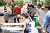 렛츠런파크 부산경남, 찾아가는 아파트 승마로 국민승마 저변 확대