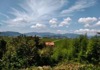 김해시, 가야문화권 조사연구 본격 추진 