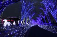 “한가위 연휴 저녁을 빛축제 일루미아에서 보내세요”