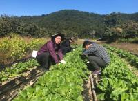 경남농협검사국 "농심은 더하고! 일손은 나누고!"