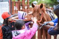  렛츠런파크 부산경남의 '팩트체크'...가을이 되면 진짜 말이 살 찔까?
