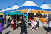 김해시, 제34회 진영단감축제 성료