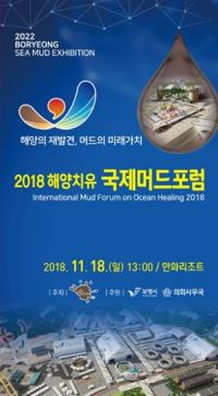 보령시, 오는 18일 해양치유 국제머드 포럼 개최