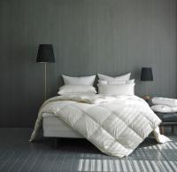 롯데백화점 부산본점 "구스 침구 지난해보다 판매 50% 이상 늘어"